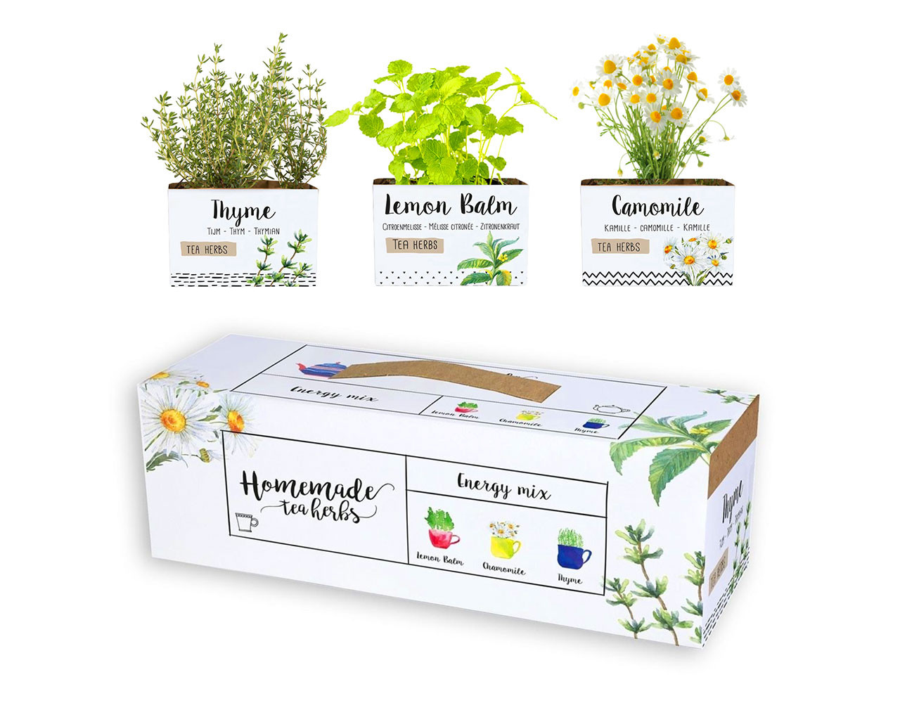 Set van 3 theekruiden: Healthy Energy Mix